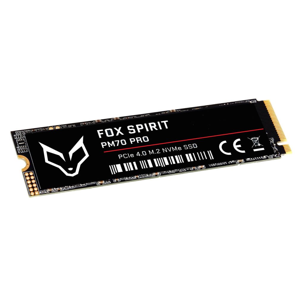 Fox Spirit PM70 PRO M.2 NVMe 960 Go PCIe 4.0 1 Fox Spirit PM70 PRO M.2 NVMe 960 Go PCIe 4.0
