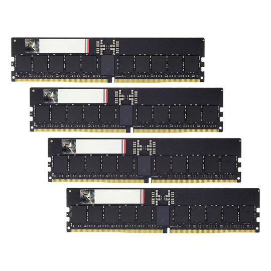 G.Skill G5 64 Go (4 x 16 Go) DDR5 ECC Registered 6400 MHz CL32 6 G.Skill G5 64 Go (4 x 16 Go) DDR5 ECC Registered 6400 MHz CL32