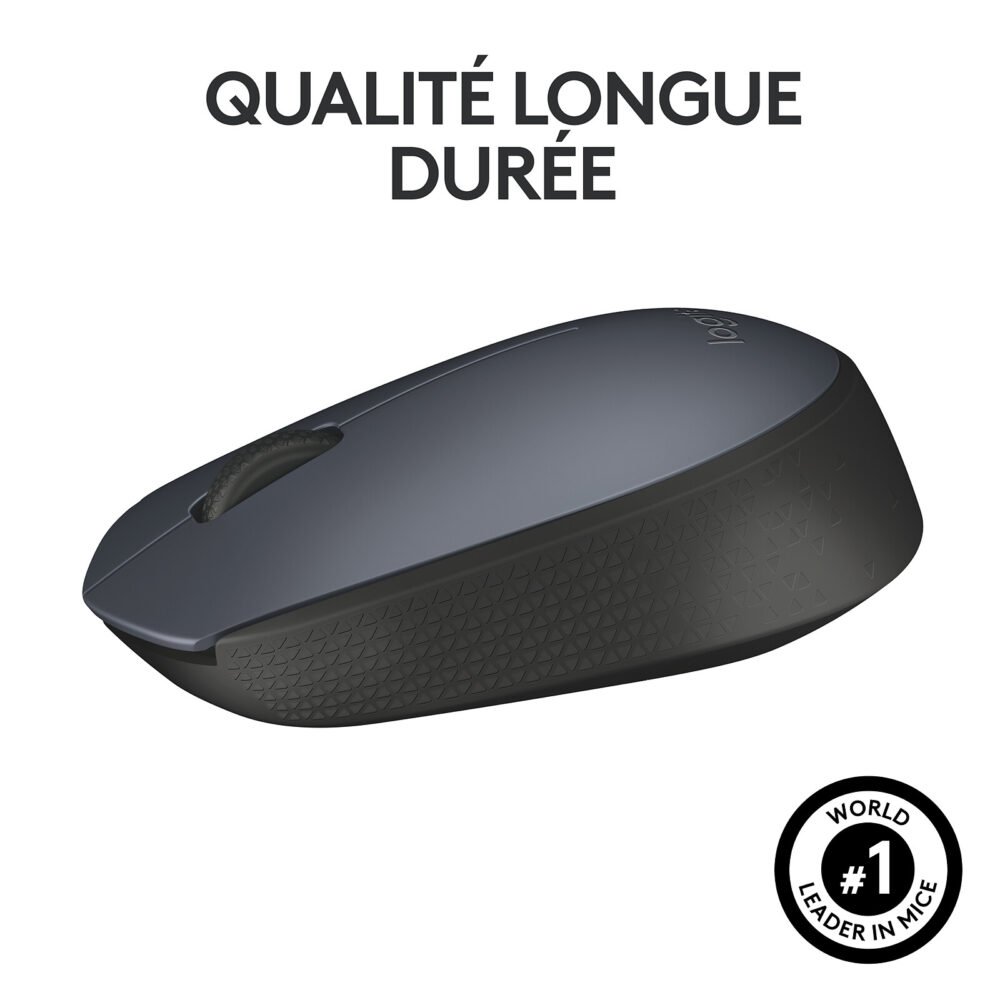 Logitech M170 Wireless Mouse (Gris)