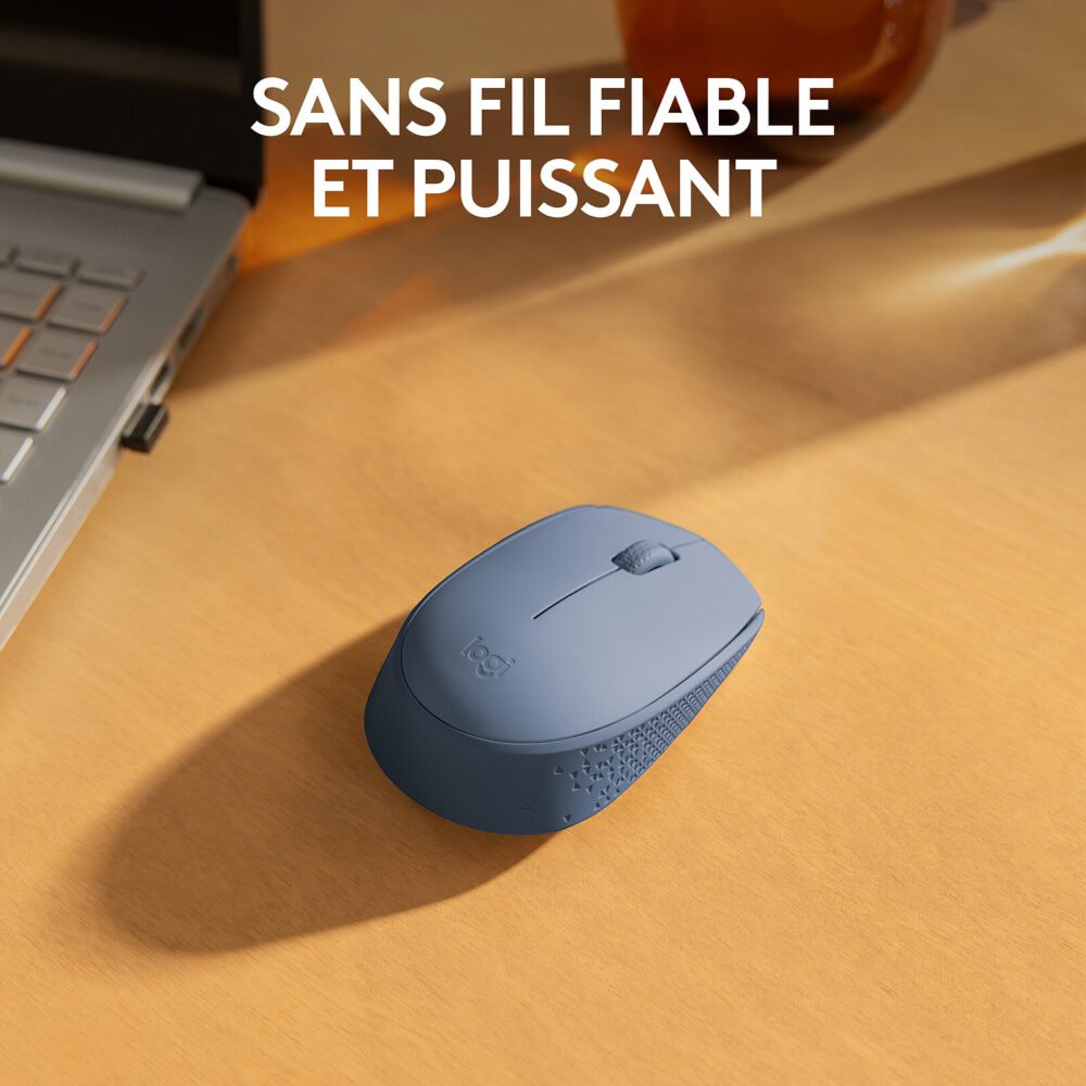 Logitech M171 Wireless Mouse (Bleu Gris)