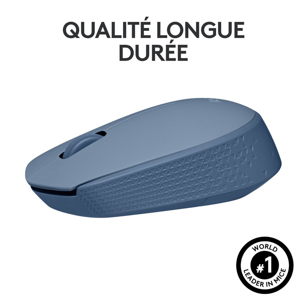 Logitech M171 Wireless Mouse (Bleu Gris)