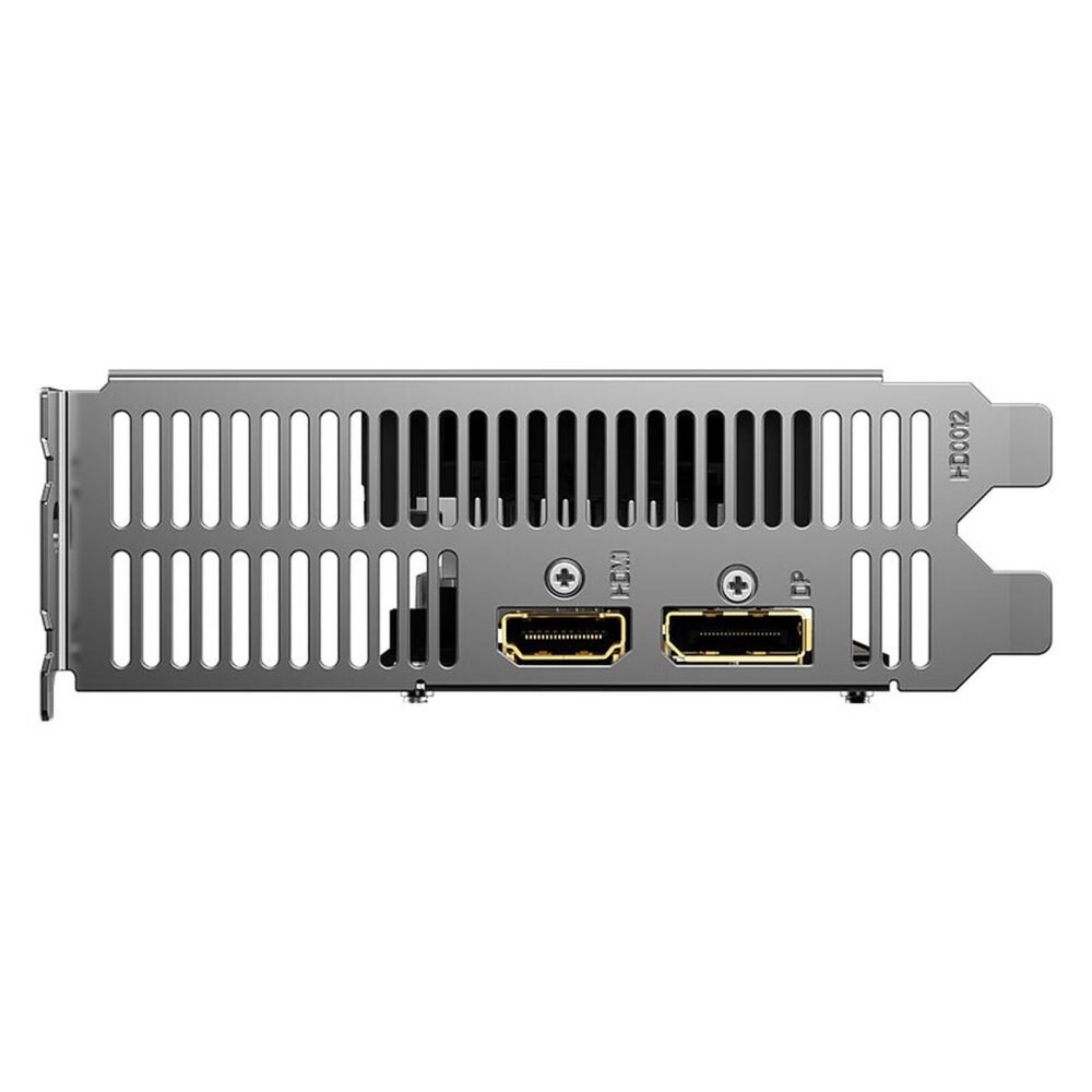 Gigabyte Radeon RX 6400 D6 Low Profile 4G