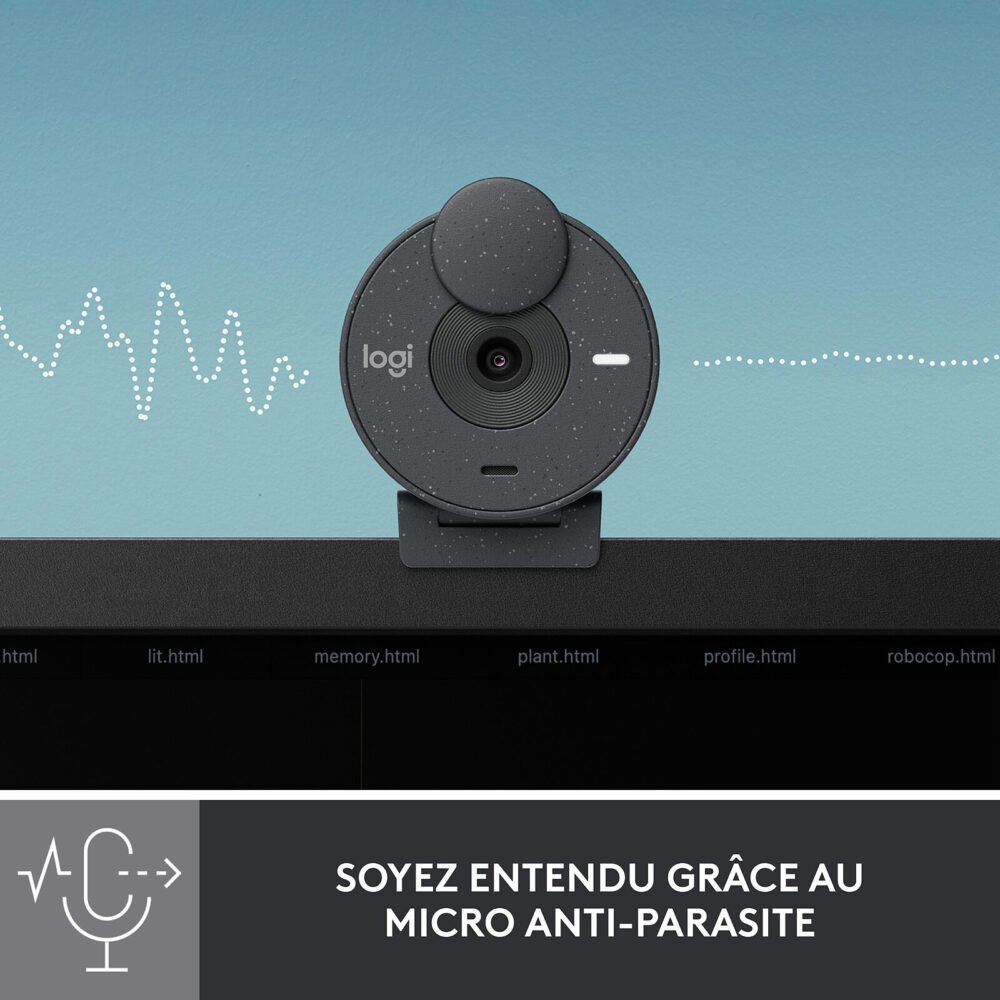 Logitech BRIO 300 (Graphite)