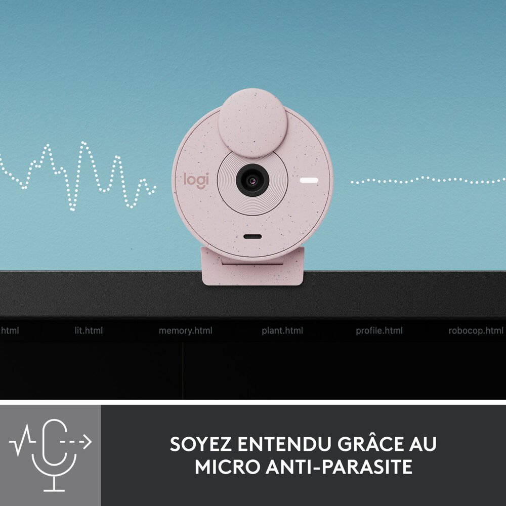 Logitech BRIO 300 (Rose)