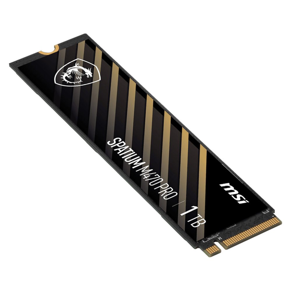 MSI Spatium M470 1 To