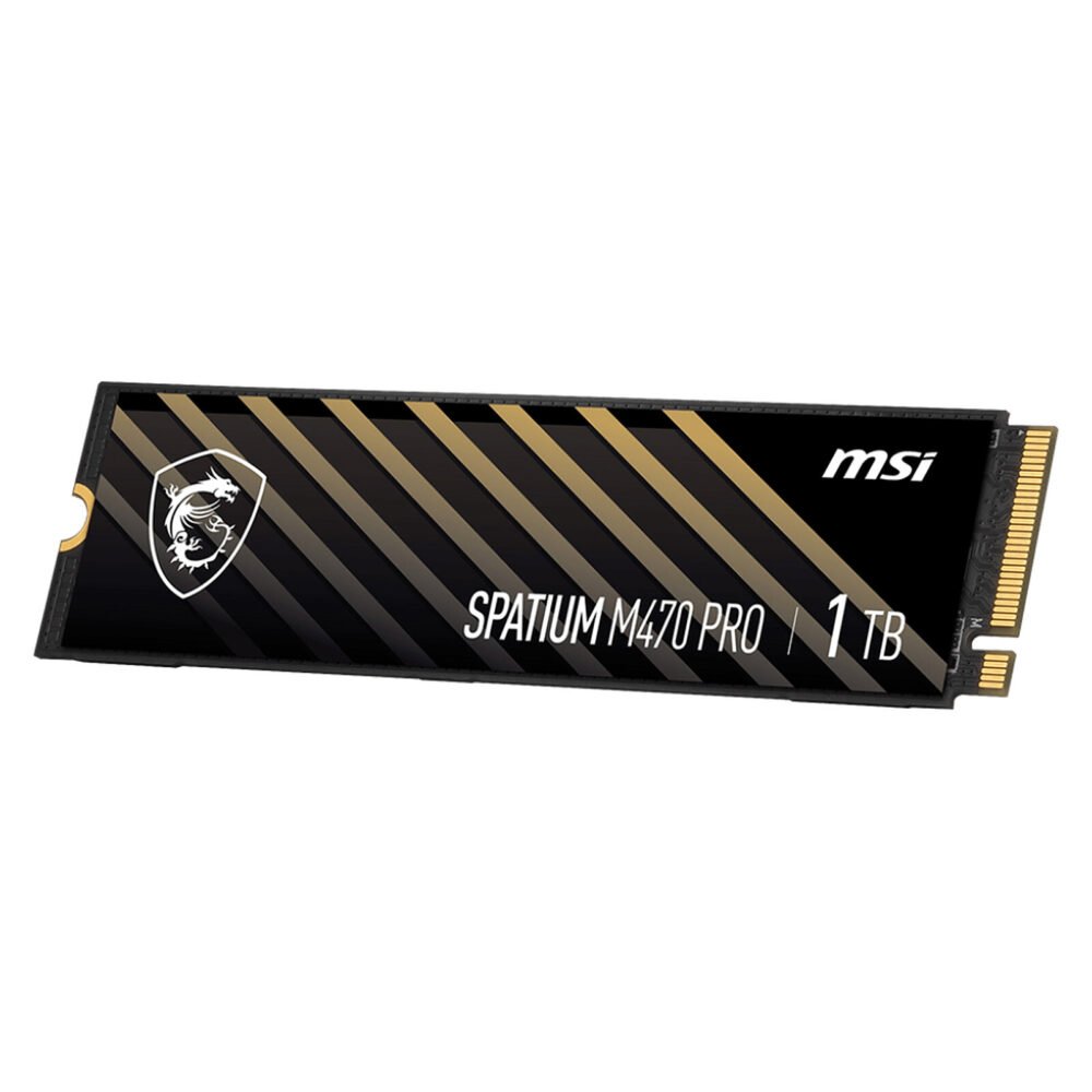 MSI Spatium M470 1 To