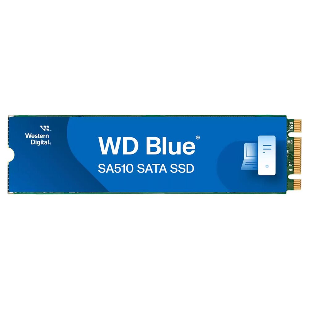 Western Digital SSD WD Blue SA510 250 Go - M.2